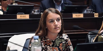 La diputada puntaltense Abigail Gómez solicitó ayudas para los comerciantes y contribuyentes de la región afectados por el temporal