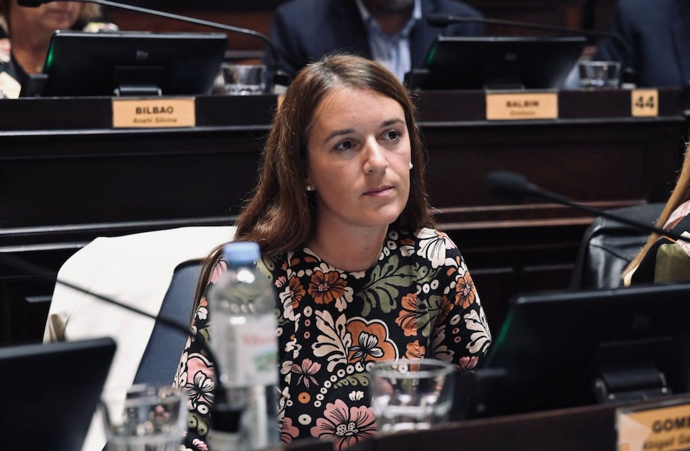 Diputados provinciales solicitan ayuda para comerciantes y contribuyentes de Coronel Rosales