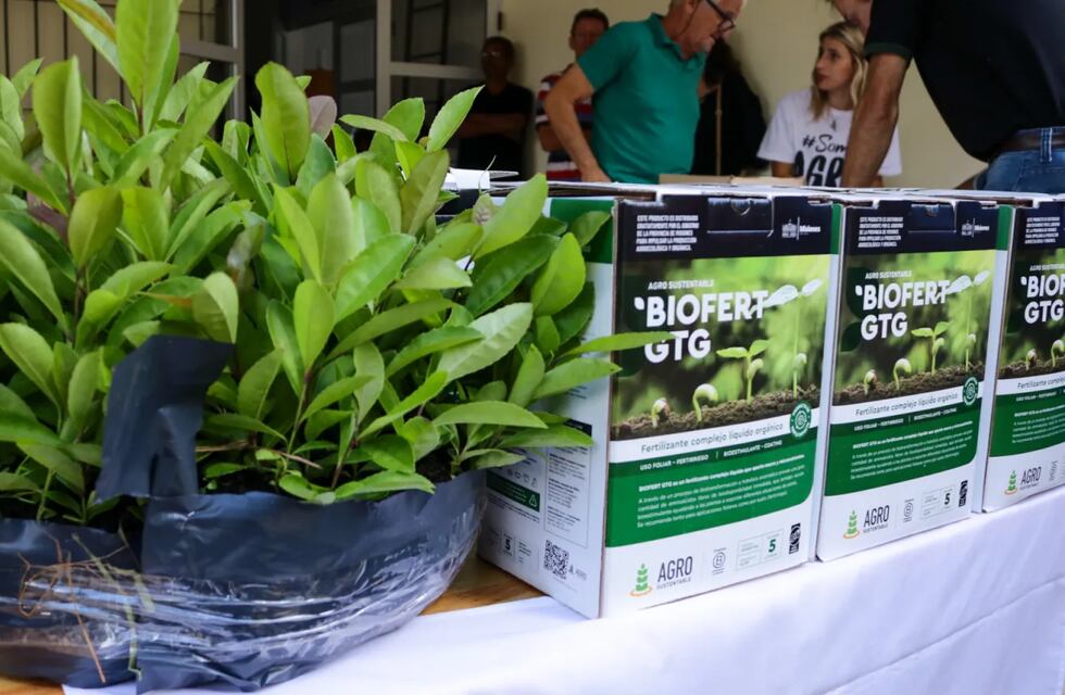 Productores Oberá recibieron plantines de yerba mate para el desarrollo de su producción