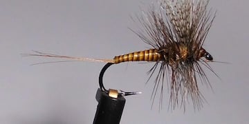 La Municipalidad de Ushuaia invita al 1° curso para Mujeres.