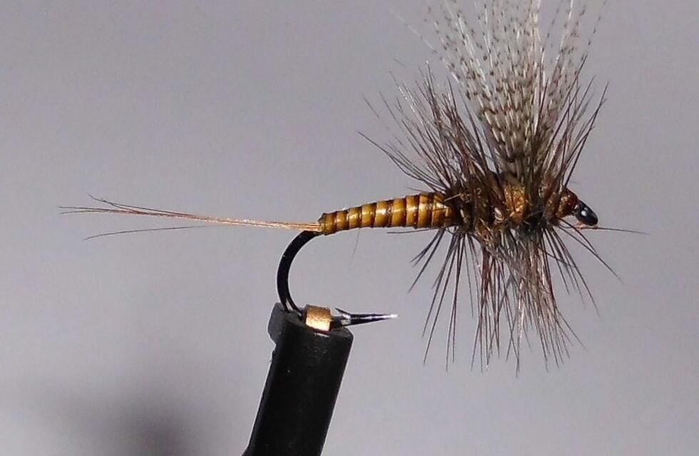 Ushuaia: La Municipalidad invita al 1° Curso de Atado de Mosca para Mujeres