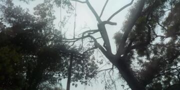 Destrozos que  provocaron las lluvias intensas