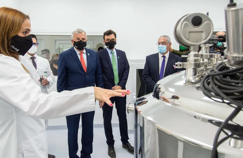 Jujuy comienza a producir a escala industrial el aceite de cannabis medicinal