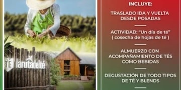 Disfrutá de la Ruta del Té de la mano de Misiones Maravilla EVT.