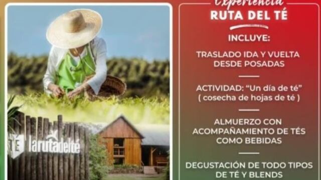 Disfrutá de la Ruta del Té de la mano de Misiones Maravilla EVT.