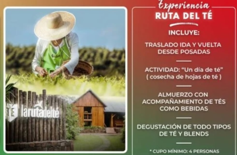 Disfrutá de la Ruta del Té de la mano de Misiones Maravilla EVT