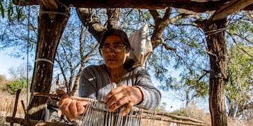 Desde el 27 de septiembre, usuarios de todo el país pueden acceder, ingresando a mercadolibre.com.ar/biomas