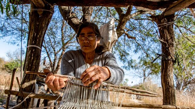 Desde el 27 de septiembre, usuarios de todo el país pueden acceder, ingresando a mercadolibre.com.ar/biomas