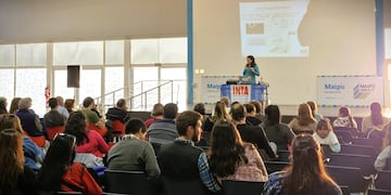 Maipú impulsa las huertas familiares. Foto: Prensa Maipú Municipio.