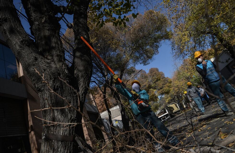 Trabajos de poda del arbolado y bacheo en las calles de la Ciudad
