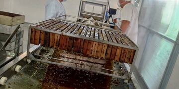 Sala comunitaria de extracción de miel en San Rafael.