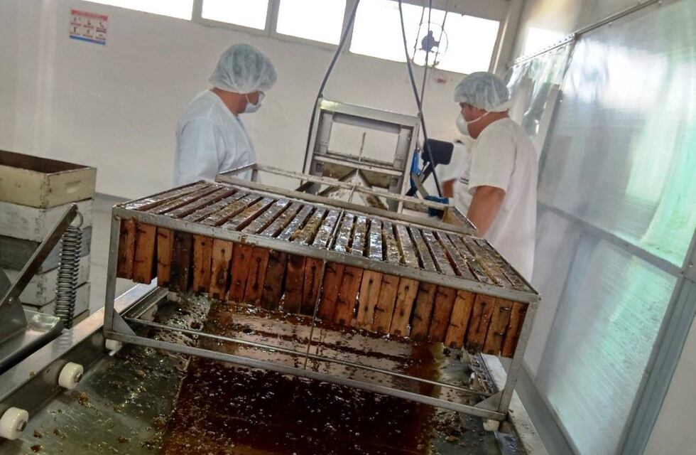 Comenzó a operar la salta comunitaria de extracción de miel
