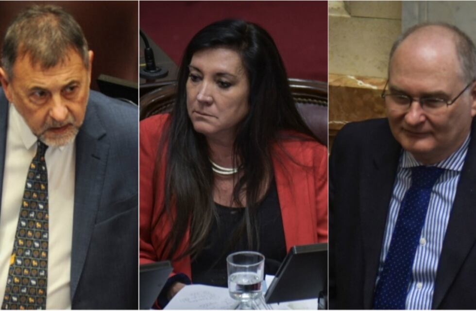 Aborto legal: como votarían los senadores por Córdoba el proyecto