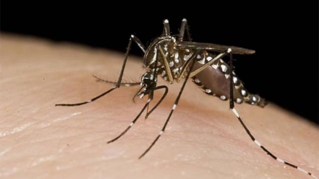 Aparecieron los primeros casos de dengue en Córdoba debido a las altas temperaturas.