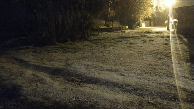 Este miércoles comenzó a nevar en el llano.