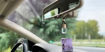 Una cordobesa colocó un particular adorno en su auto y se hizo viral.