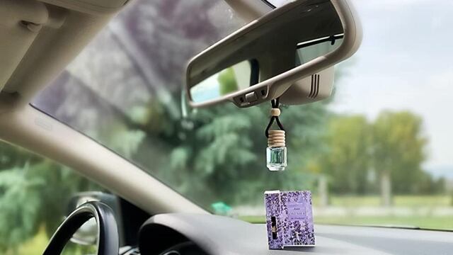 Una cordobesa colocó un particular adorno en su auto y se hizo viral.