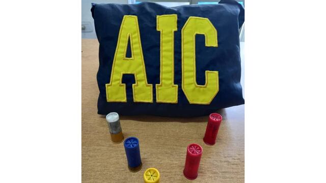 Los cartuchos hallados por la AIC