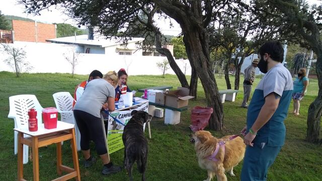 Campaña de Vacunación Antirrábica en San Antonio de Arredondo.