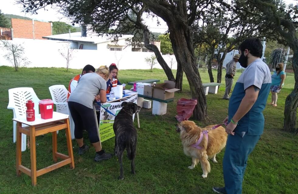 Comenzó la Campaña de Vacunación Antirrábica en San Antonio de Arredondo