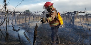El viento Zonda provocó un incendio en viñedos de Mendoza. - Claudio Gutiérrez / Los Andes