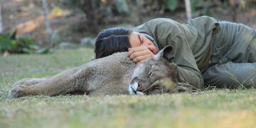 FRAAM comenzó el ciclo webinar “Conservación de fauna silvestre marino costero”