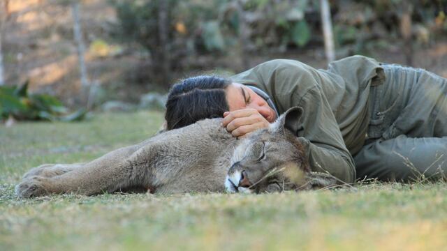 FRAAM comenzó el ciclo webinar “Conservación de fauna silvestre marino costero”