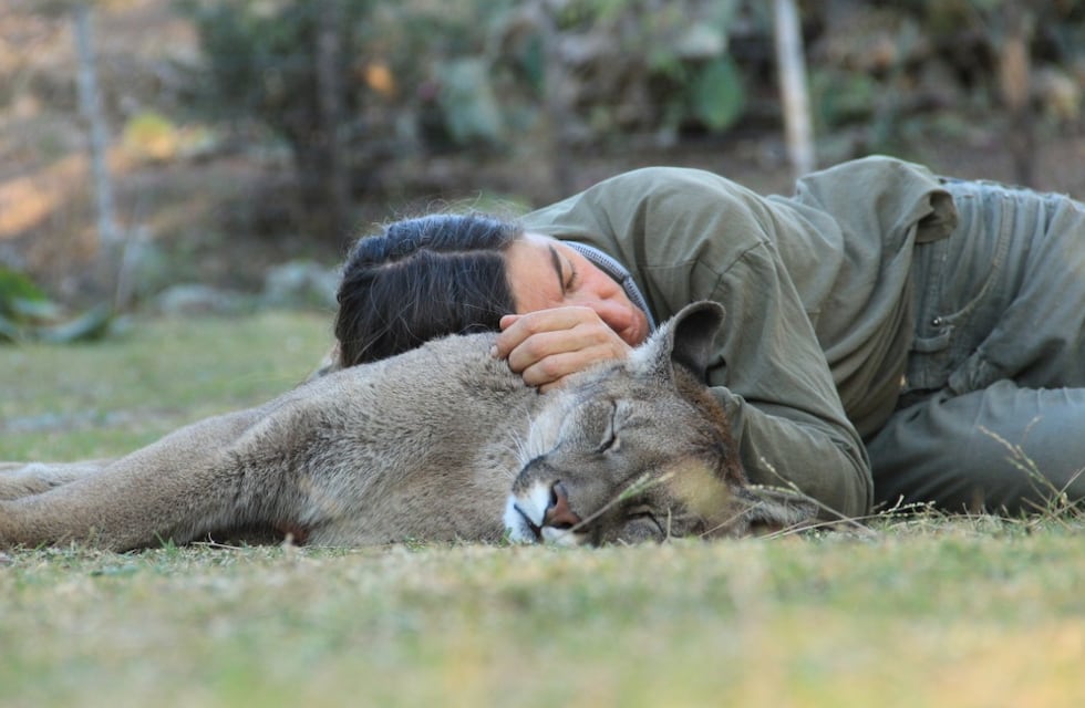 FRAAM comenzó el ciclo webinar “Conservación de fauna silvestre marino costero”