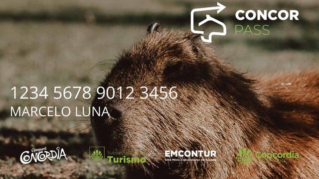 Se lanzó la segunda etapa del ConcorPass.