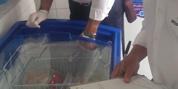 Inspección Bromatológica