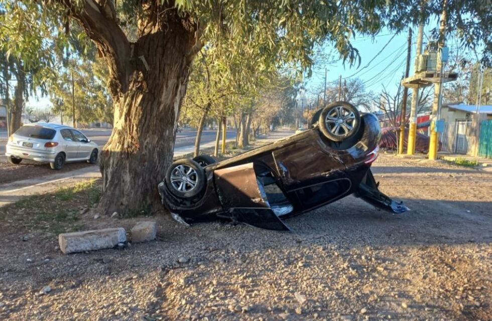 Esquivó un perro, volcó y no estrelló el auto contra un árbol de milagro