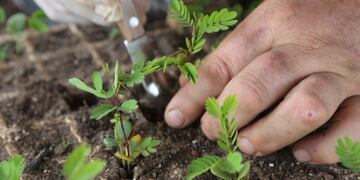 El Instituto de Sanidad y Calidad Agroalimentaria de Mendoza continpua con su ciclo de capacitaciones virtuales en los departamentos de Junin, Tunuyán y Tupungato. Gentileza