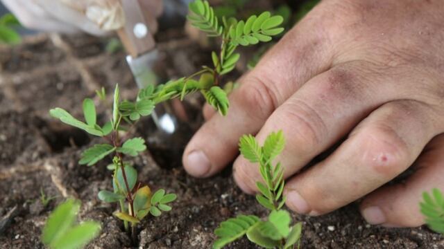 El Instituto de Sanidad y Calidad Agroalimentaria de Mendoza continpua con su ciclo de capacitaciones virtuales en los departamentos de Junin, Tunuyán y Tupungato. Gentileza