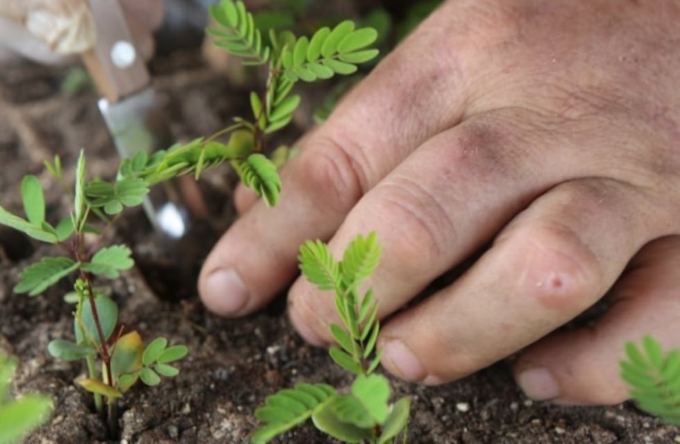El Iscamen capacita sobre agroecología y buenas prácticas agrícolas