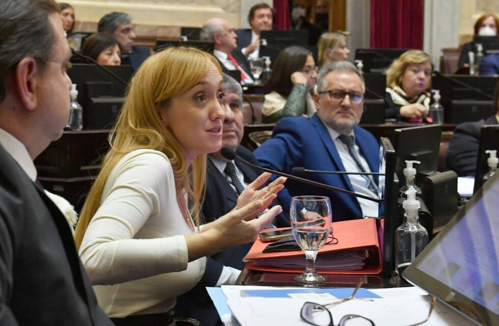 Sesión picante en el Senado: los cruces entre Luis Juez y el Frente de Todos y una banca en discordia