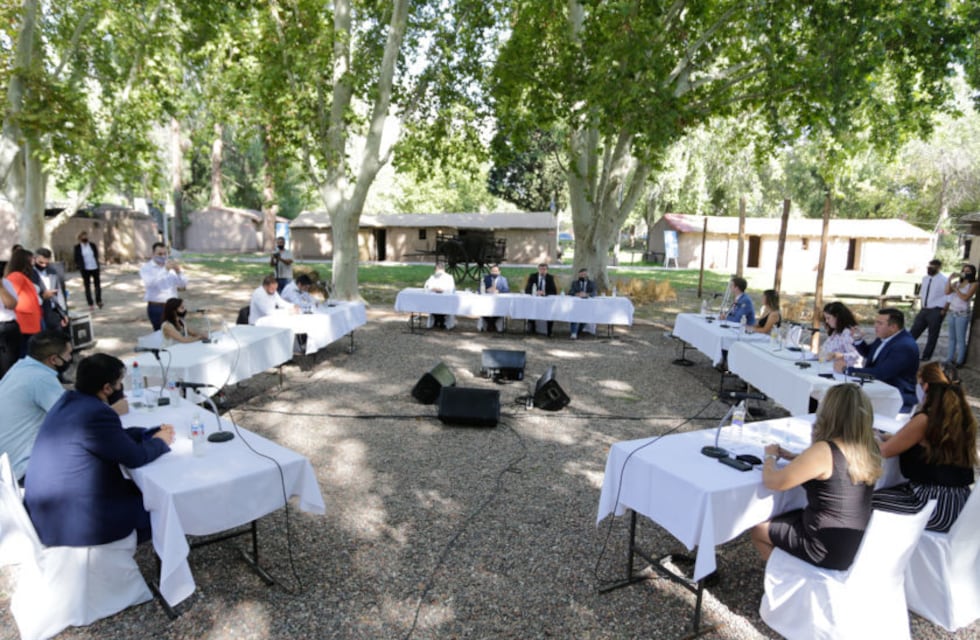 PASO 2021: Conocé los precandidatos a concejal para Las Heras