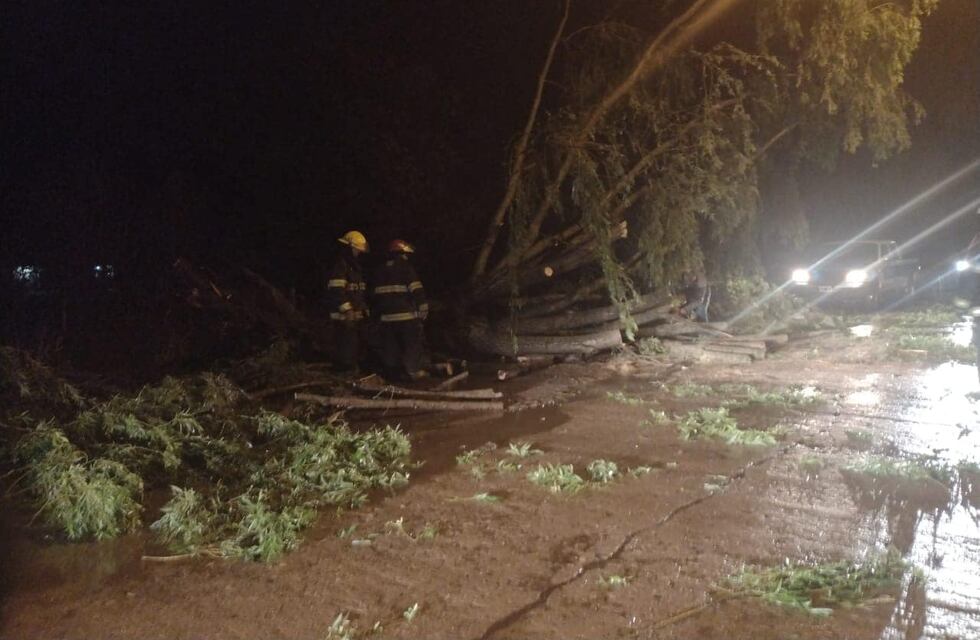 Intenso trabajo de Bomberos luego del temporal