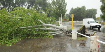 Se atendieron casi 2 mil llamados de emergencias.