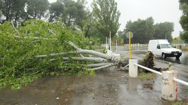 Se atendieron casi 2 mil llamados de emergencias.
