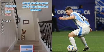 Es famoso en TikTok y eligió al ganador de la Copa América 2024.