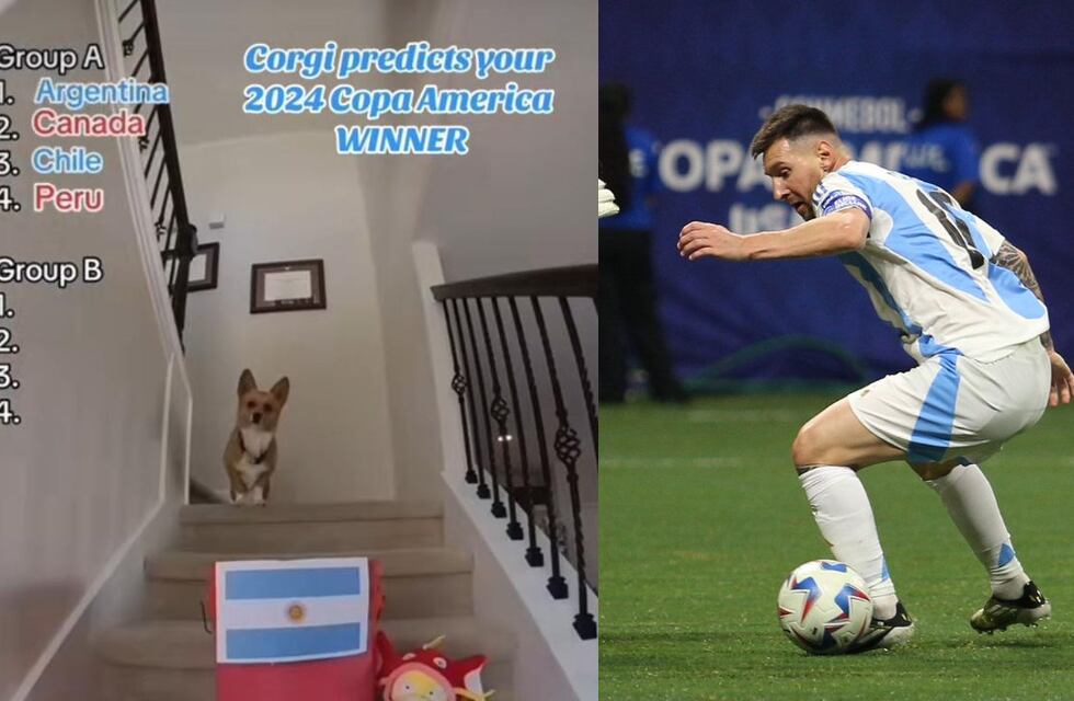 ¿El nuevo Pulpo Paul? El perrito que pronosticó el futuro de la Selección Argentina en la Copa América 2024
