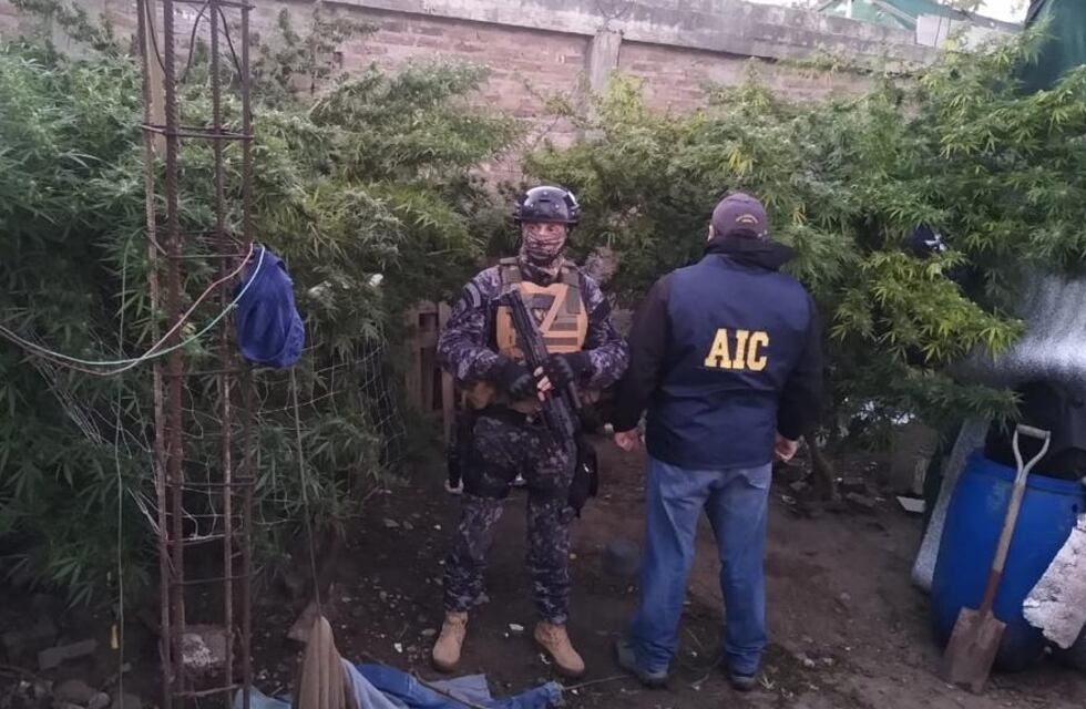Detienen a tres personas acusadas de disfrazarse de cirujas para robar casas