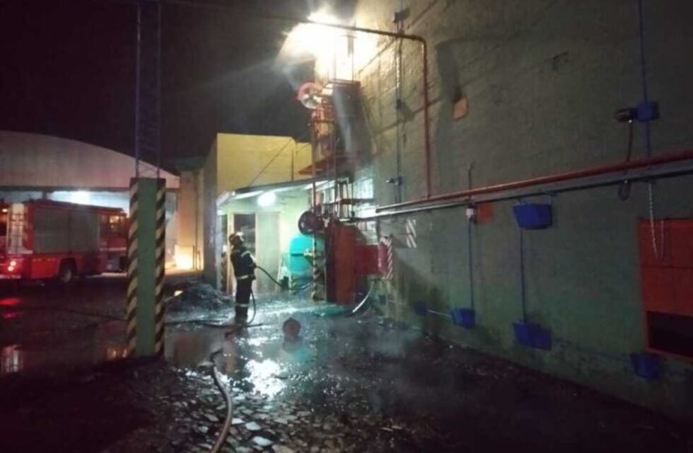 Se quemó 20 toneladas de yerba mate en un incendio en Campo Ramón