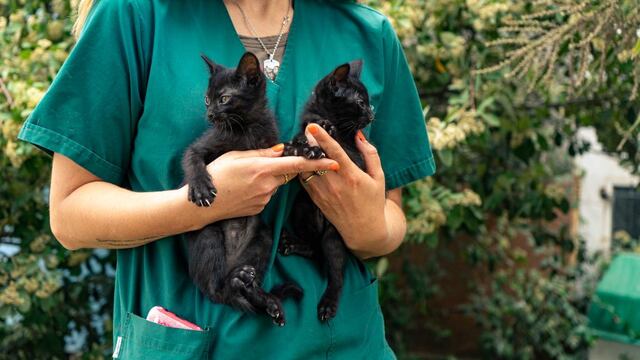 Desde el próximo lunes, los dispositivos estarán en Belisario Roldán, Las Heras y en la localidad de Batán.