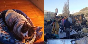 su gata la despertó y la salvó cuando se desató el incendio en su casa de Comodoro Rivadavia.