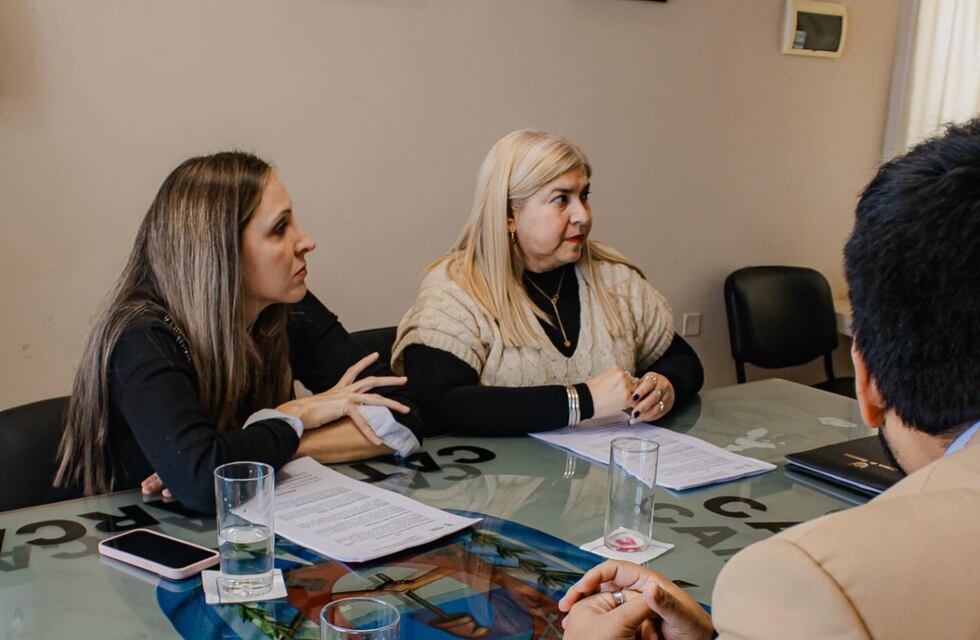 Estado parlamentario de varios proyectos de Educación y Cultura en Catamarca