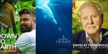 5 documentales que muestran la contaminación del medio ambiente