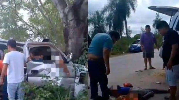 El choque de una combi contra un árbol en una ruta boliviana dejó doce fallecidos, entre los que hay siete menores de edad. Las demás víctimas tenían entre 19 y 59 años.