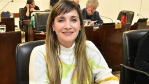 Lorena Panzardi, diputada de Chaco, fue denunciada por atacar a su sobrina.
