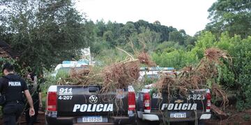 Desarticulan una plantación de marihuana en San Pedro y detienen a un agricultor.